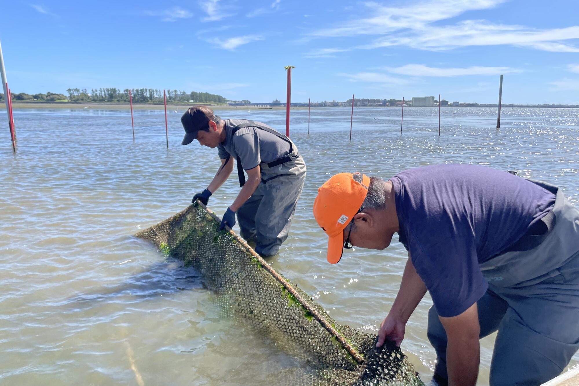 Sushi-loving Japan scrambles to save its fishing industry - Los